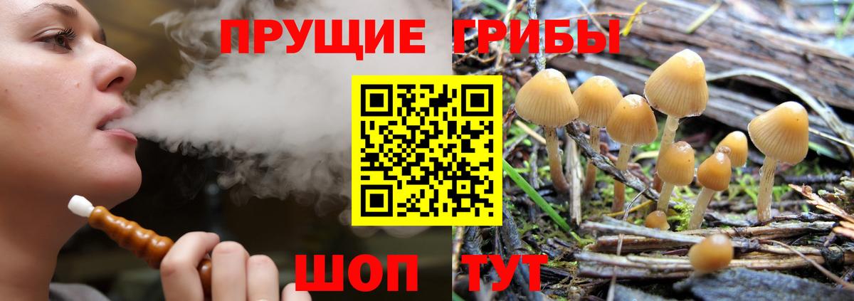 Псилоцибиновые грибы прущие грибы Спасск-Дальний